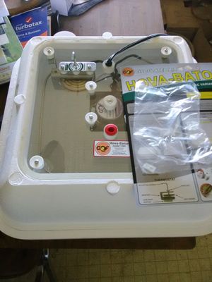 Incubating eggs with Hava-Bator 1583 incubator