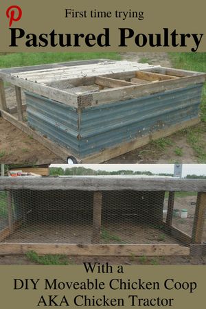 Raising pastured poultry with DIY Moveable chicken coop AKA chicken tractor - Pinterest link