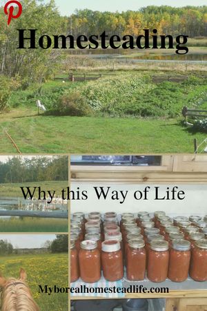 My why to homestead - Pinterest link