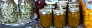 Canning tomatoes - zucchini harvest - relish