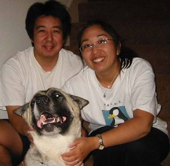 And here's Mochi (formerly "Oroville mom"), grinning ear to ear at the thrill of having found her forever home with Grant & Lauren.

