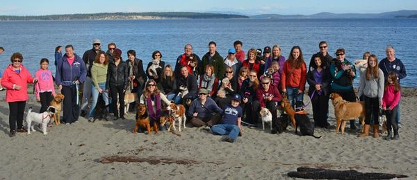 Island View Beach Walk with some of the Dog Bless alumni and Myra Cash - October 2013