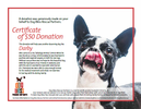 $50 Donation Certificate