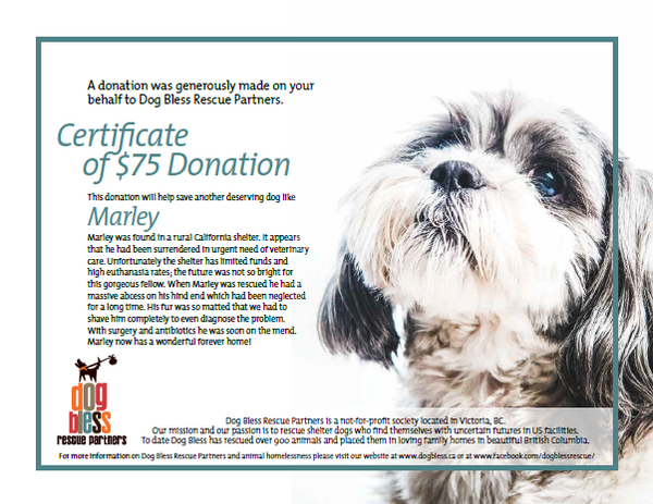 $75 Donation Certificate