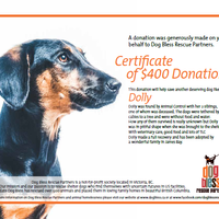 $400 Donation Certificate
