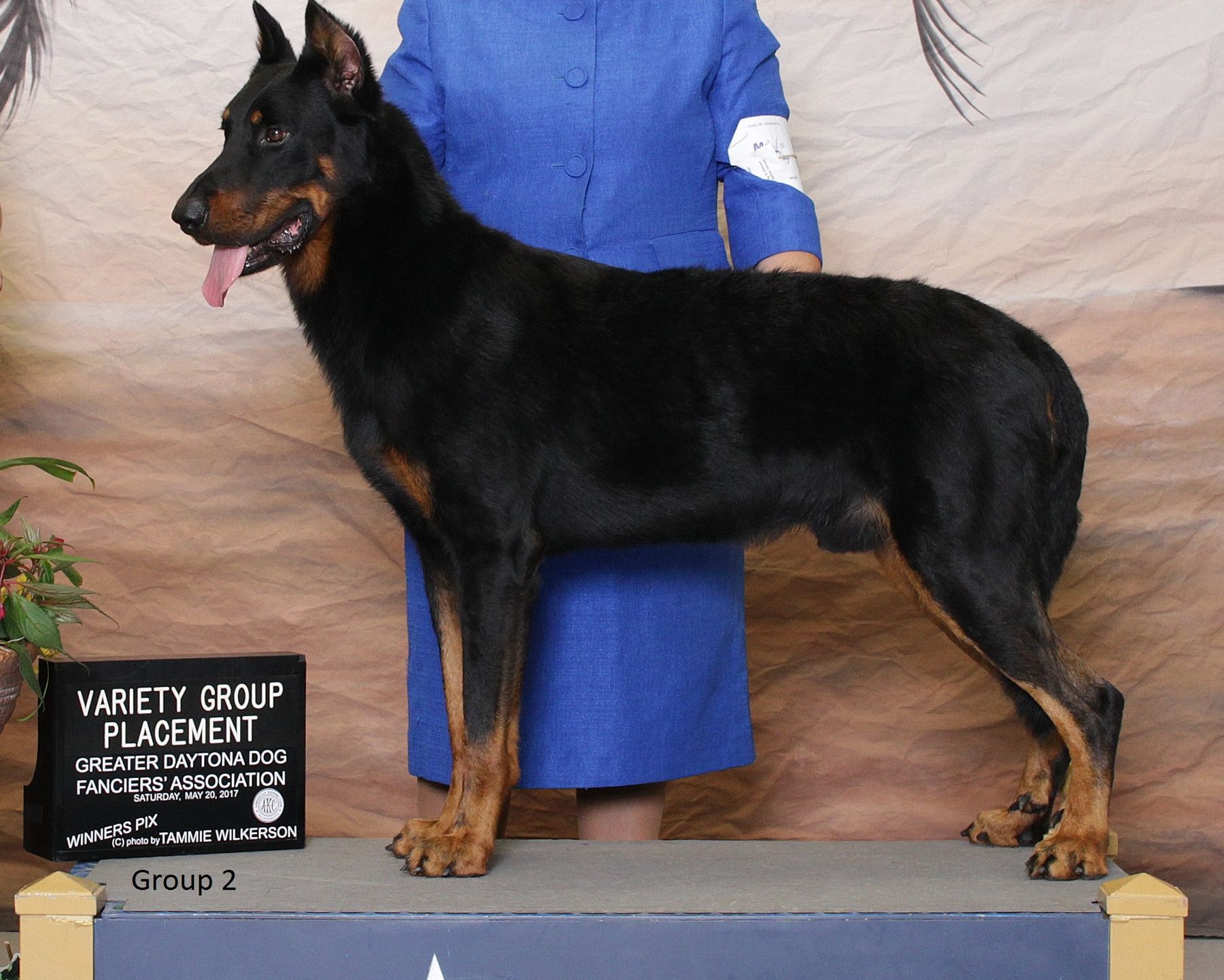 Hernando County Kennel Club