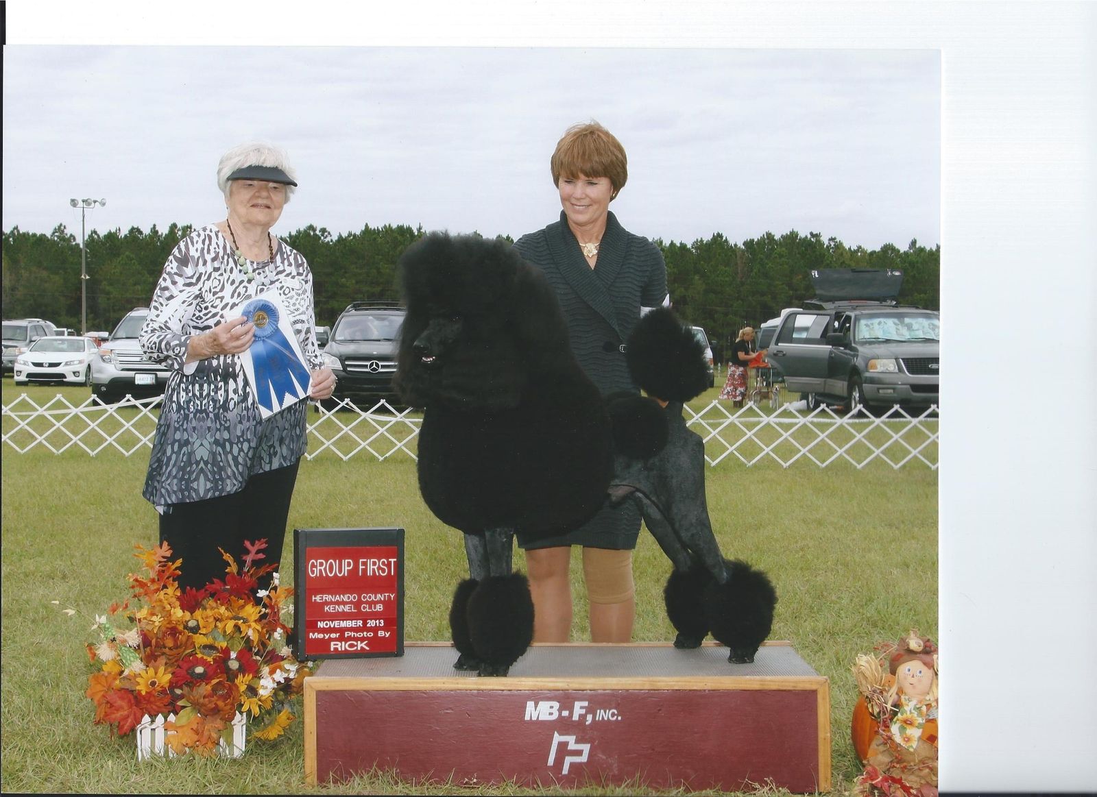 Hernando County Kennel Club AKC Shows