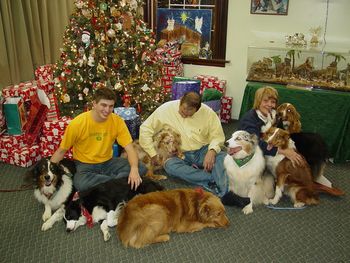 Foster family trying to get that Christmas Pic. Dogs are family pets along with other puppy mill resued dogs in rehabilitation.
