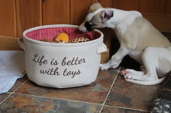 Must taste the toy box too...not just the toys....LOL

