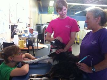 The Canine Wellness Center Team taking awesome care of Deckstirs rehab needs

