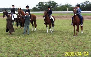 From left to right - Wildmoor's Irish Connection, Canyonleigh's Unforgettable, Whispering Pines Whisperer & Wildmoor's Desdemona
