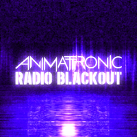 Radio Blackout by Animattronic