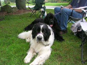 Newfie "FUN DAY" in Acton, Ont.
