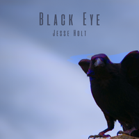 Black Eye by Jesse Holt