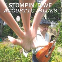 Acoustic Blues by stompinstore.com