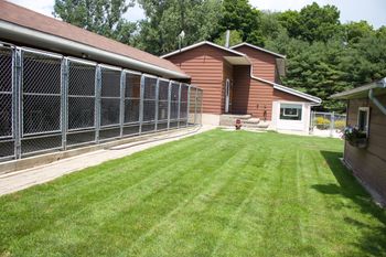 Spacious outdoor runs backing onto grassy kennel yard
