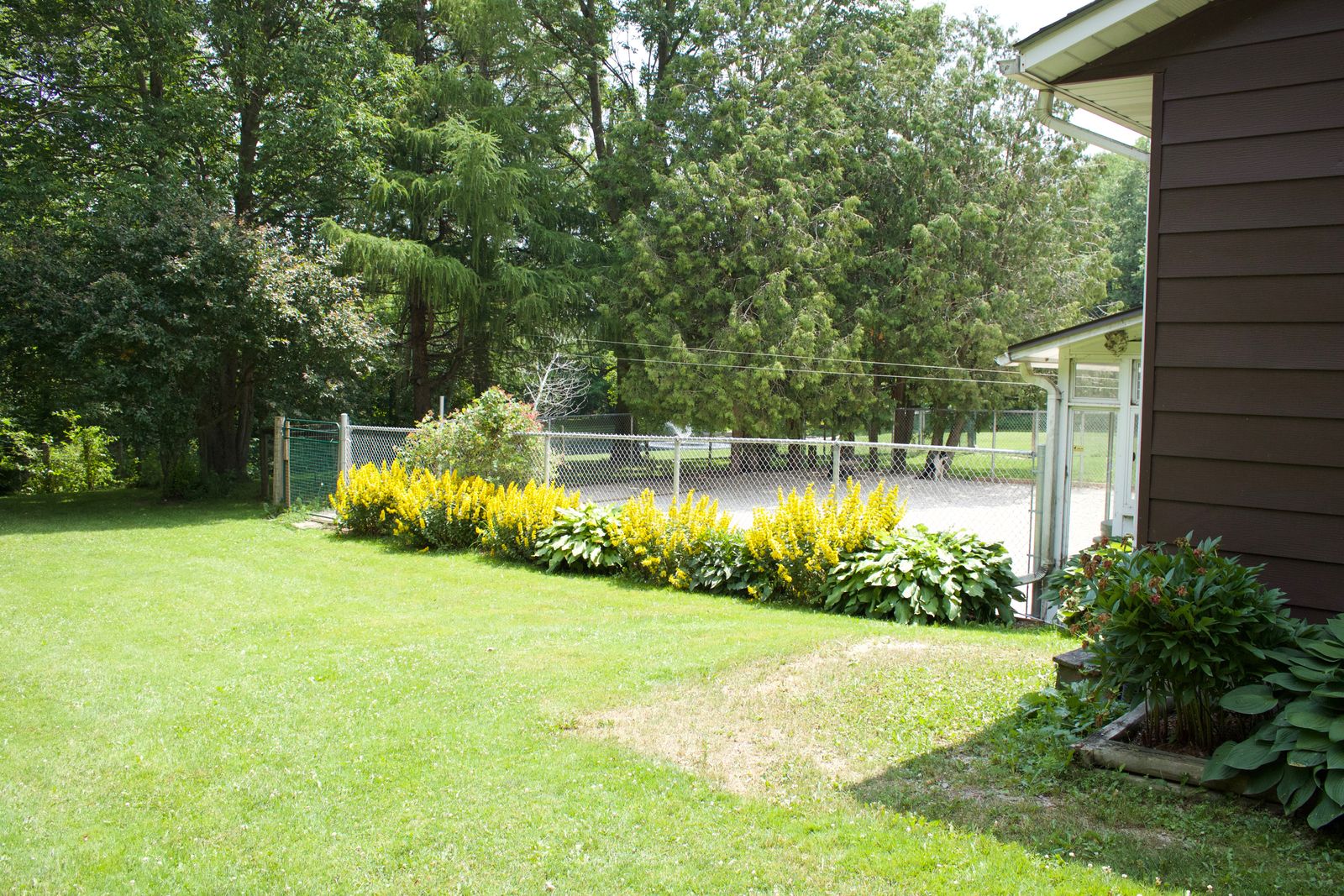 R & R Pet Paradise Boarding