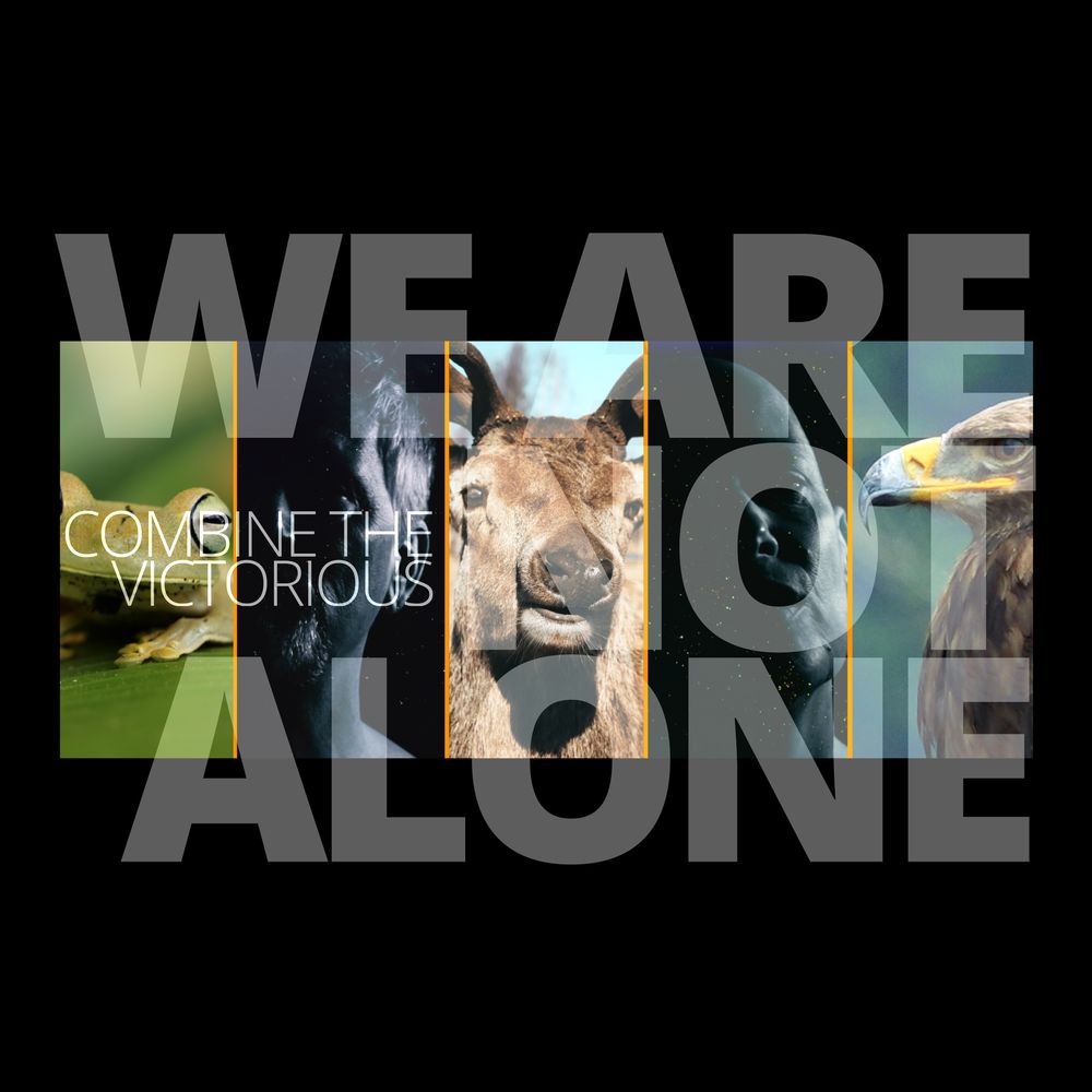 combine the v we are not alone cover