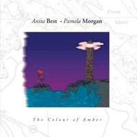 The Colour of Amber by Pamela Morgan and Anita Best