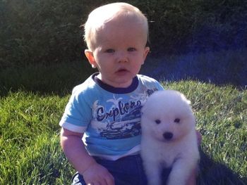 Grandson with a puppy.
