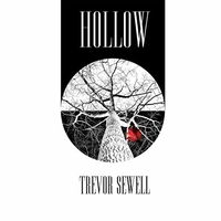 Hollow by Trevor Sewell