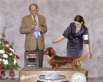 Hunderbar Boom Boom Pow Sl "Sasha" winning a 4pt major under judge Mr. Indeglia. Shes so much fun to show cant wait to see what her future brings us.
