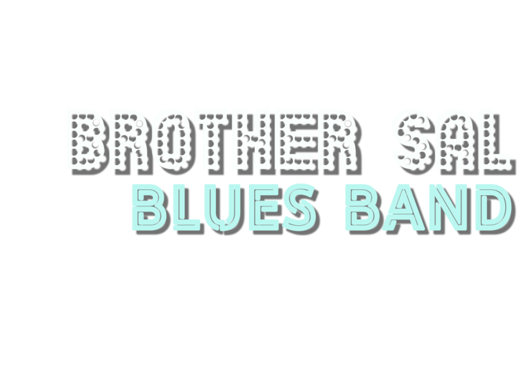 Brother sal blues band bio