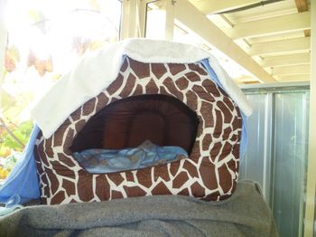 Similar style of igloo bed.
