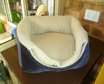 Versatile igloo bed flattened for warmer weather use.
