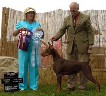 6 months - Winners and Best Puppy - GMDF Specialty. Judge: Cecilia Martinez
