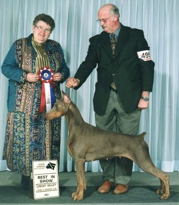 Best in Show #6 - Thora Brown

