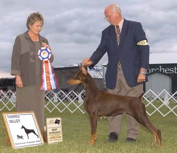 First specialty win under breeder/judge, Mary White
