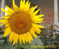 Sunflower City - Matt Perrine