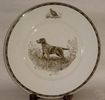Kirmse Wedgwood Wirehaired Pointing Griffon plate