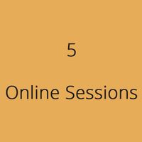 Bundle of 5 Online Sound & Energy Coaching Sessions with MJ