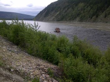 The Yukon River seen from the Alaska Highway
