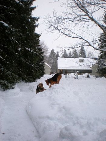 What fun it is to play all day in the deep snow!
