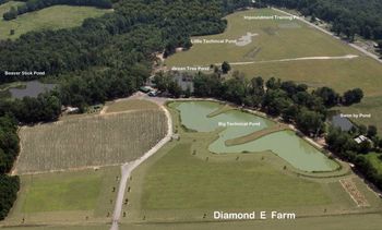 This is a July, 2010 aerial shot of the Diamond E Farm. We have 6 ponds that are used specifically for retriever training. We also have a dove field and various rolling pastures.
