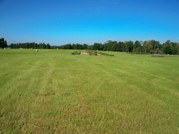 This is a wide angle view of our south pasture.
