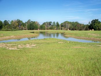 This small Technical Pond sits in the valley of a 30 acre pasture. It has several fingers, points and an island to add to retriever training possibilities.
