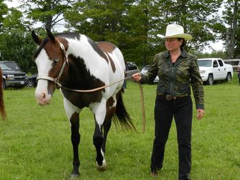 Holly cruzin' the grounds at Ontario Pinto Show, June 26, 2011. Grand Champion Mare.
