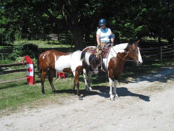 Happy Canada Day! Jake is now in Kindergarten, learning about trail riding and trailering from Tatti & Cody.
