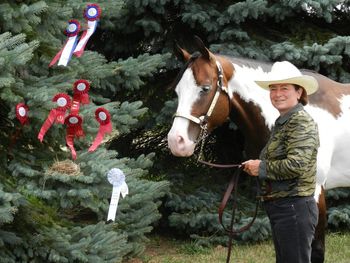 Holly at Ontario Pinto QuarDream show, Aug 14 on her way to OPtHA 2011 High Point Overall Halter Mare. Way to go, Holly!
