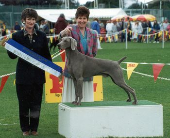 Carol Wright - Grauhund Kennels with Opera's sire: Ch. Grauhund New Man In Town (A.I.)
