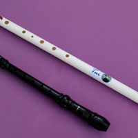 'Tui', Takahe Flutes Alto-G Whistle