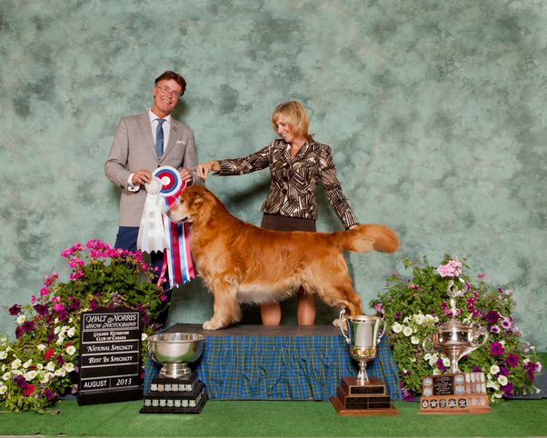 what does bos mean in dog shows