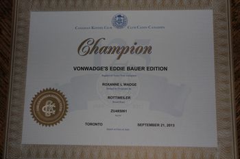 CKC Championship, completed by 10 months of age Breeder/Owner/Handler

