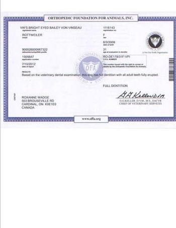 Dentition Certificate
