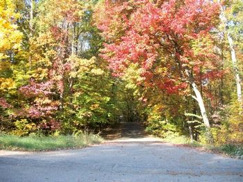 Our driveway, Fall in MI is breathtaking
