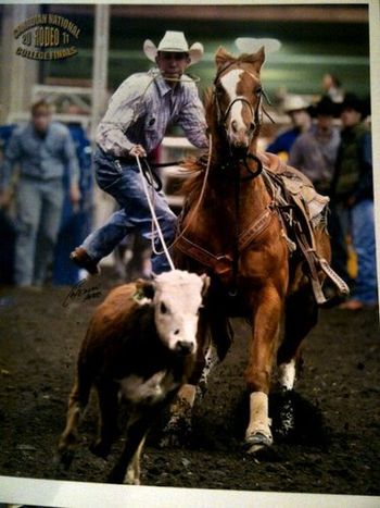 Question Mark out of our stallion Play Me Royal - Calf Roping with Glen Allen Nash
